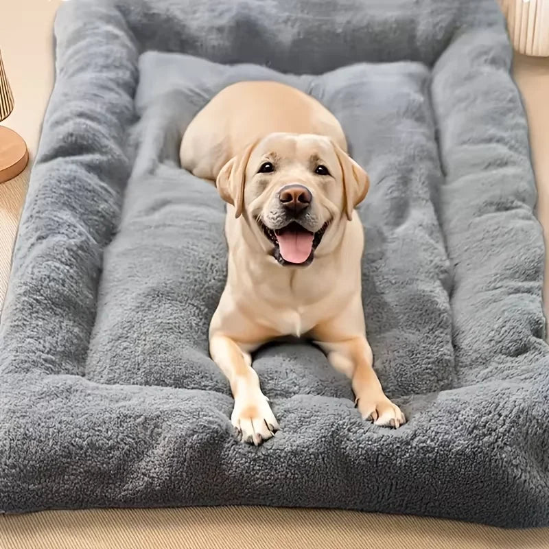 Cloud Cuddle - Plush Pet Bed - lifestyle