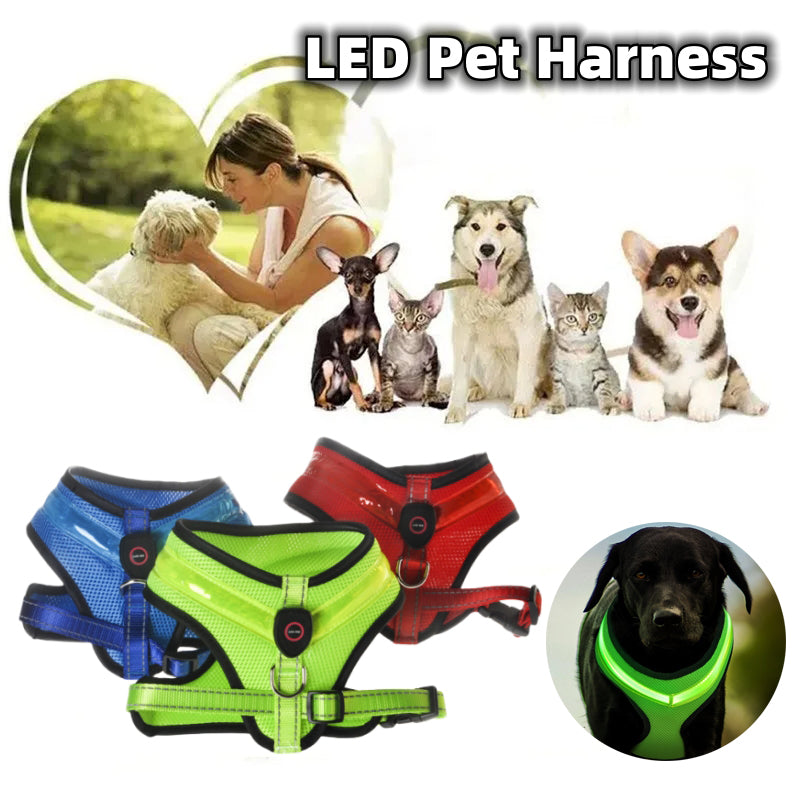 NightWalker LED Dog Harness