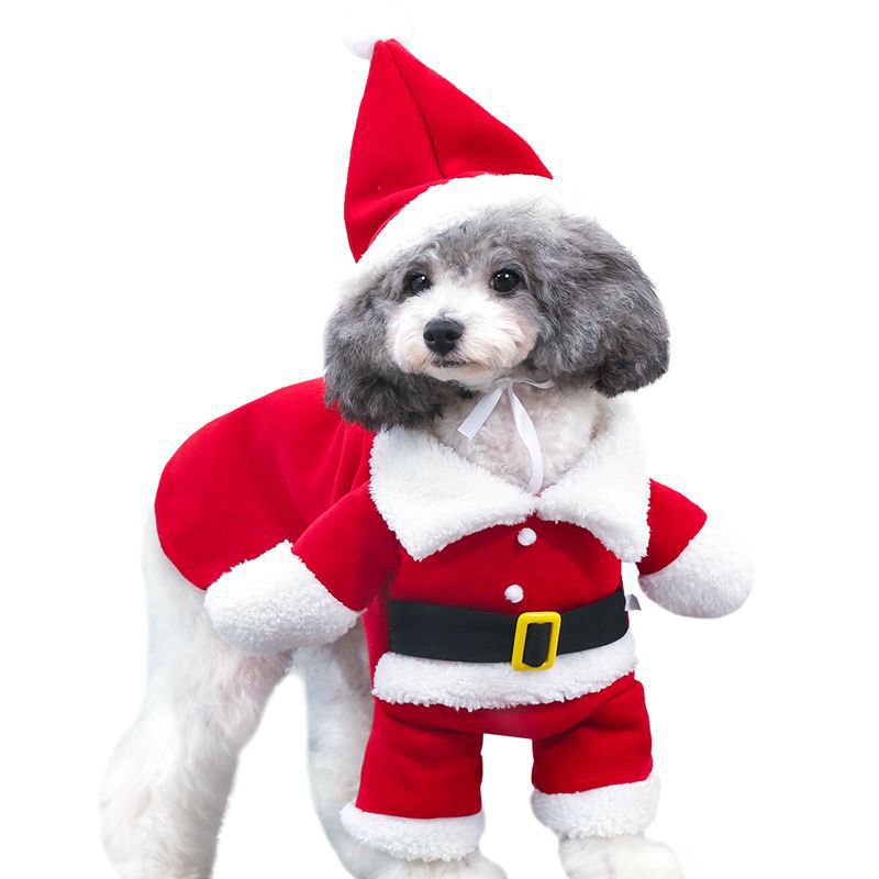 Pet Christmas Santa costume, red Santa suit for pets