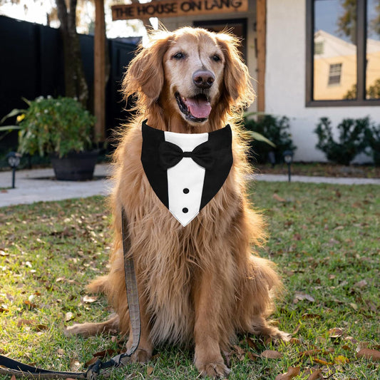 The Dapper Dog Tuxedo