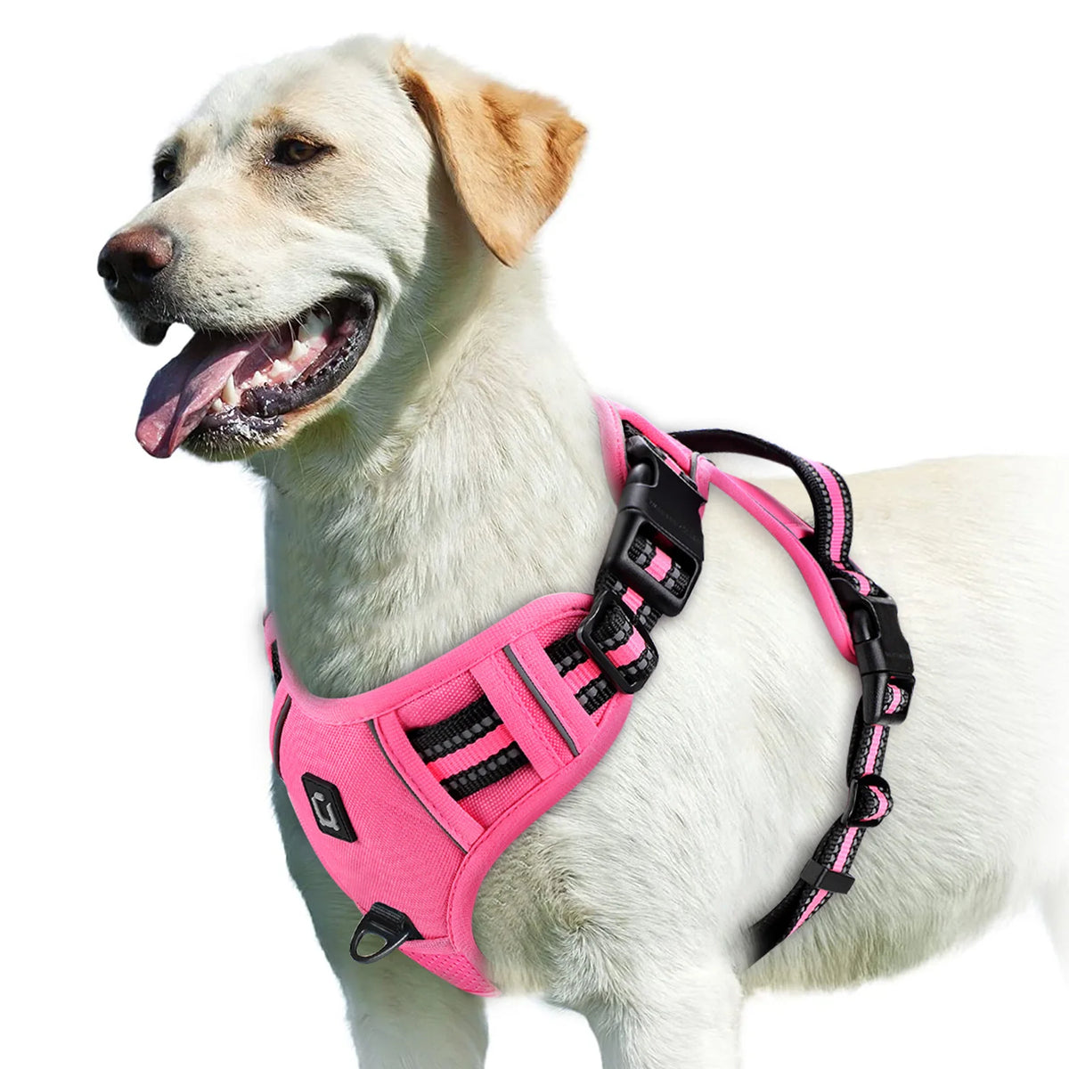 Walk Easy - No-Pull Padded Reflective Harness - alternate view