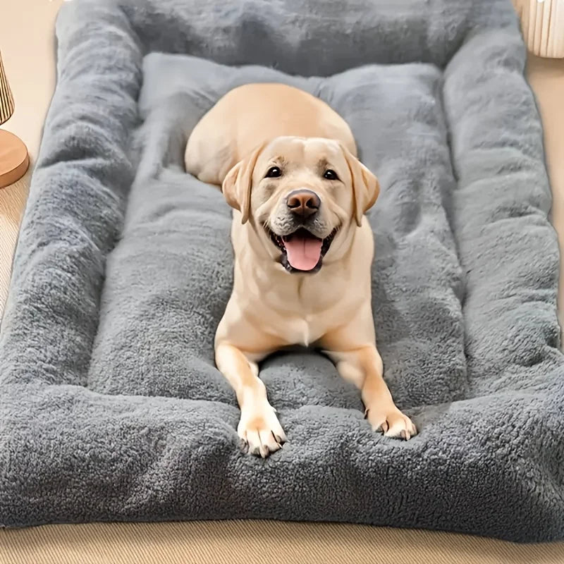 Cloud Cuddle - Plush Pet Bed