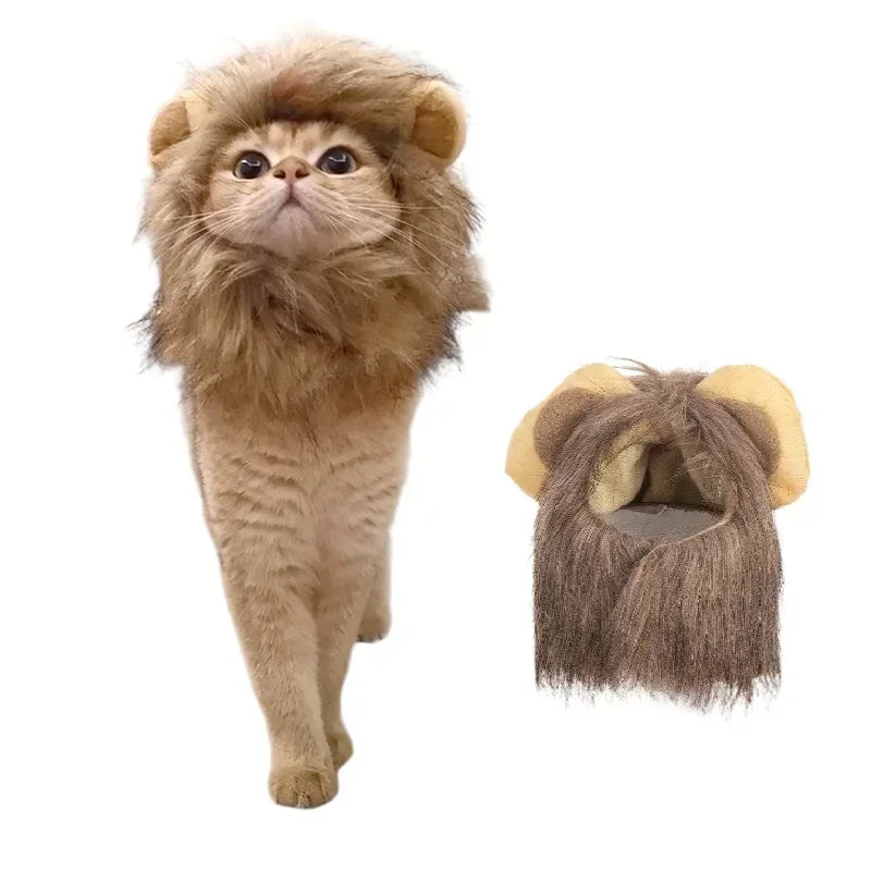 King of the Couch - Cat Lion Mane Costume