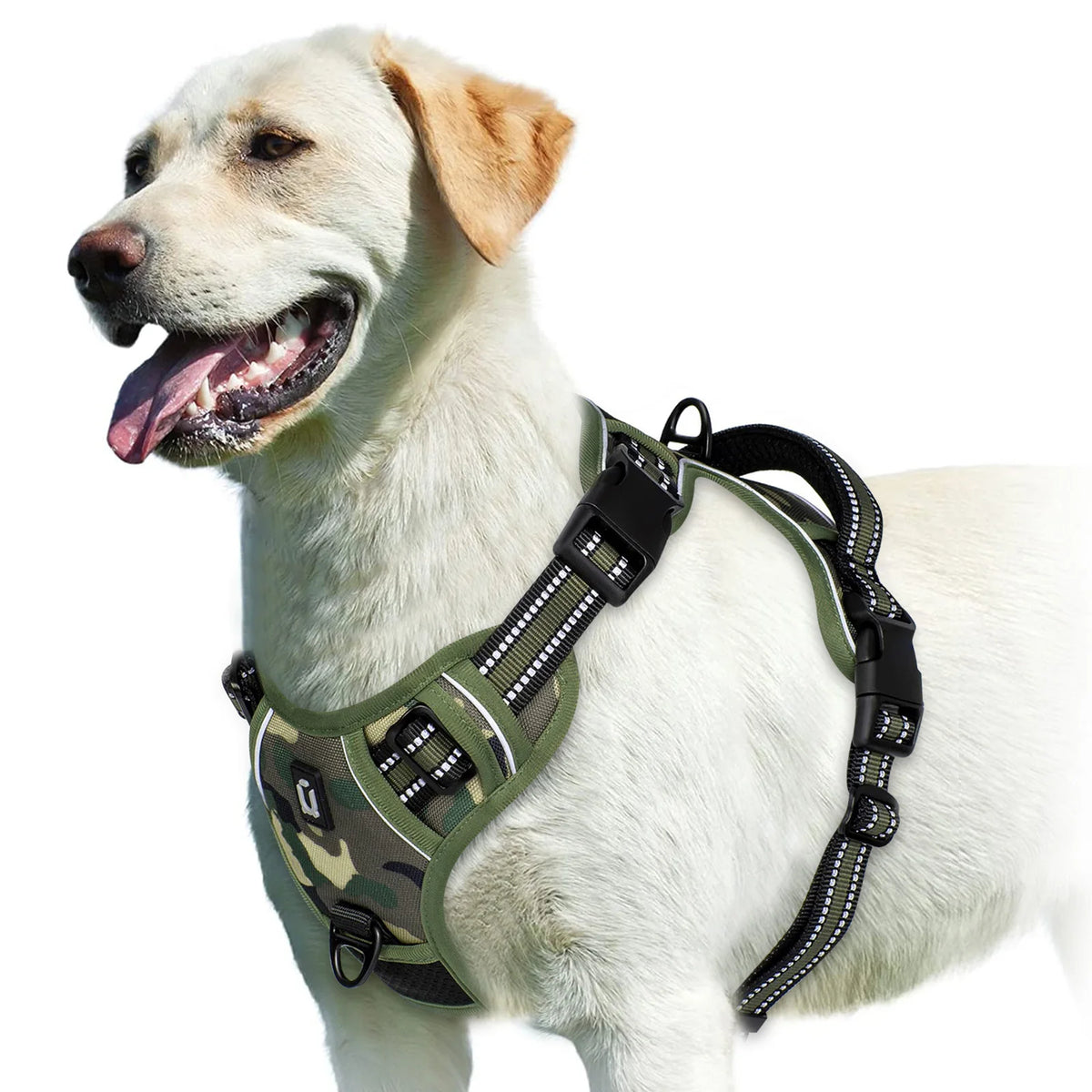 Walk Easy - No-Pull Padded Reflective Harness - close-up