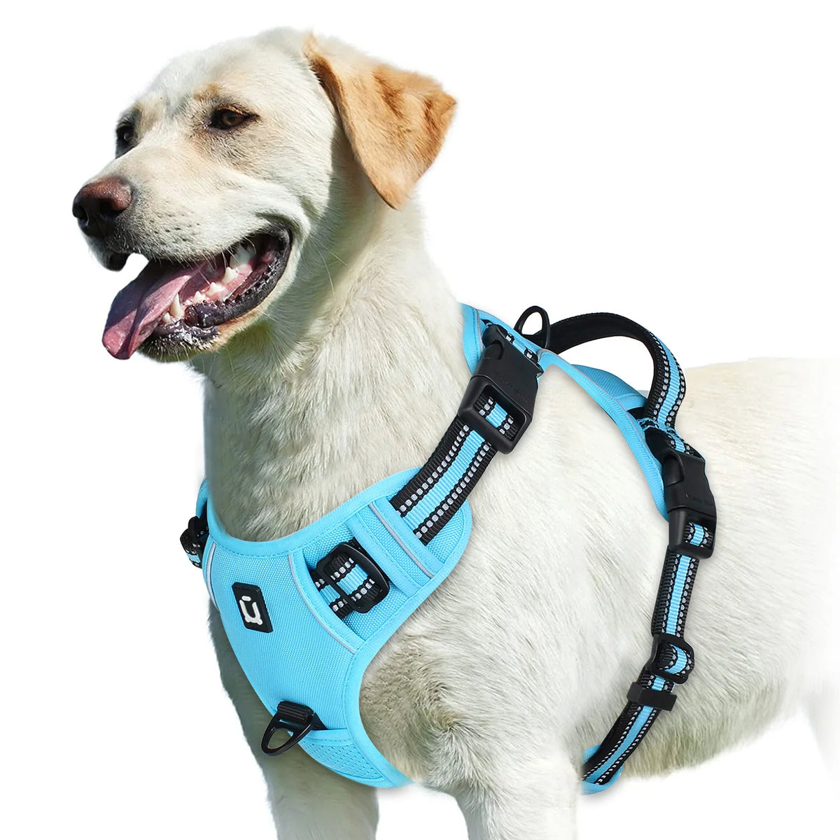 Walk Easy - No-Pull Padded Reflective Harness - detail view