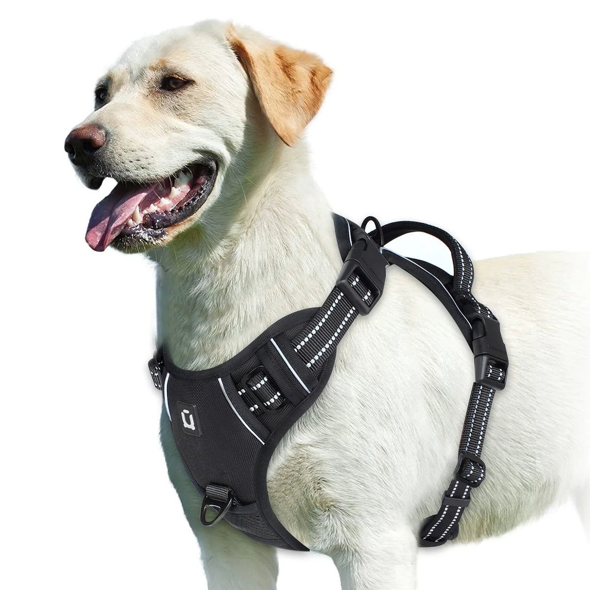 Walk Easy - No-Pull Padded Reflective Harness