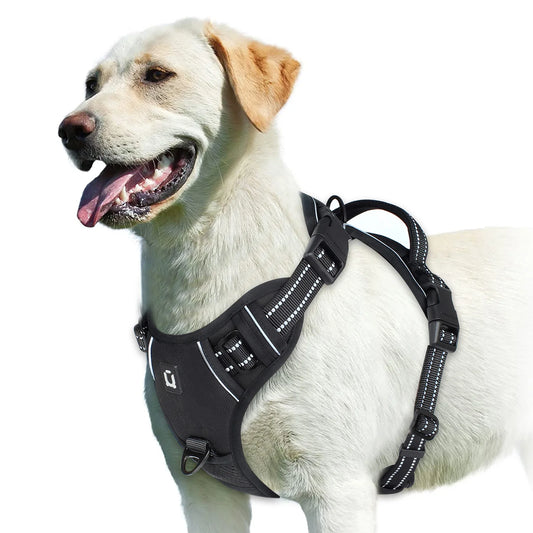 Walk Easy - No-Pull Padded Reflective Harness