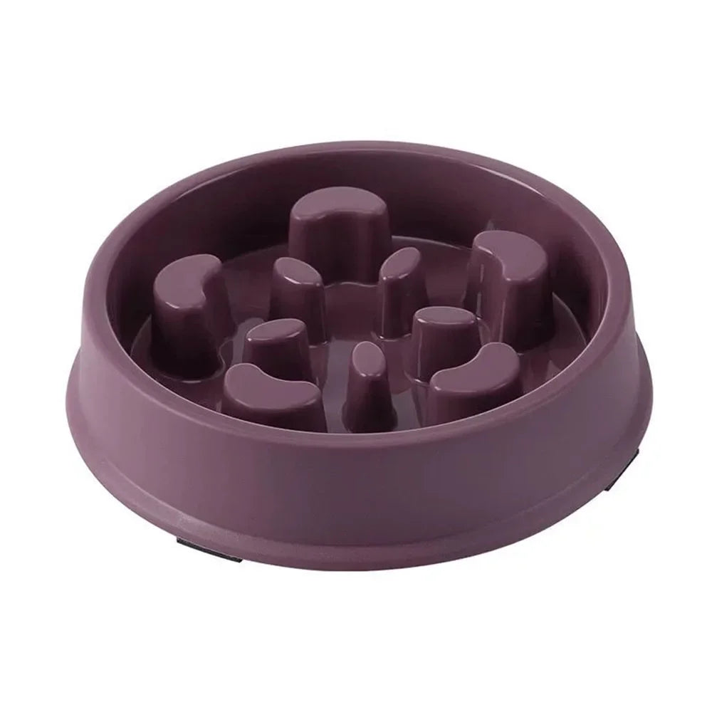 Slow Down Champ - Slow-Feeder Puzzle Bowl - alternate view