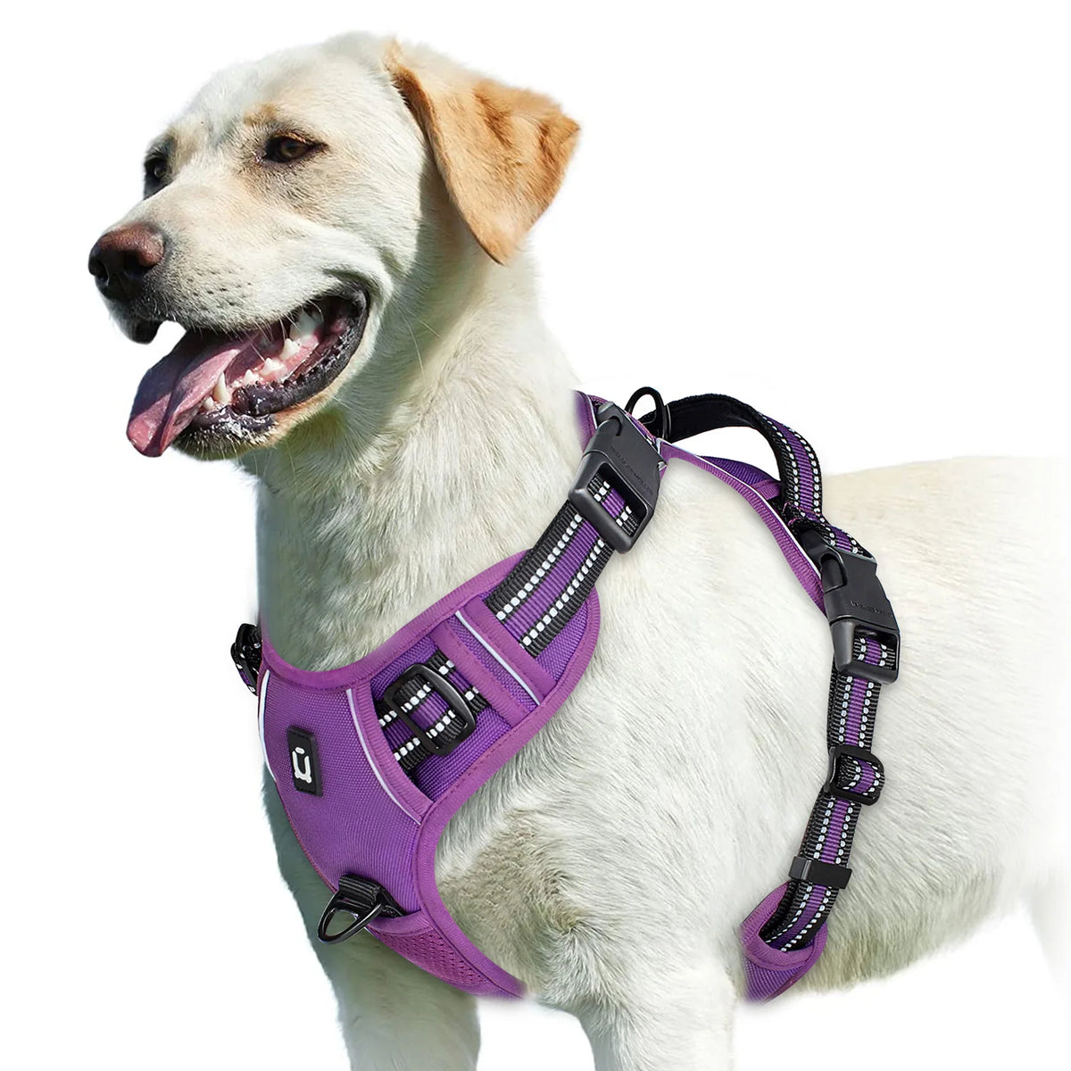 Walk Easy - No-Pull Padded Reflective Harness - lifestyle