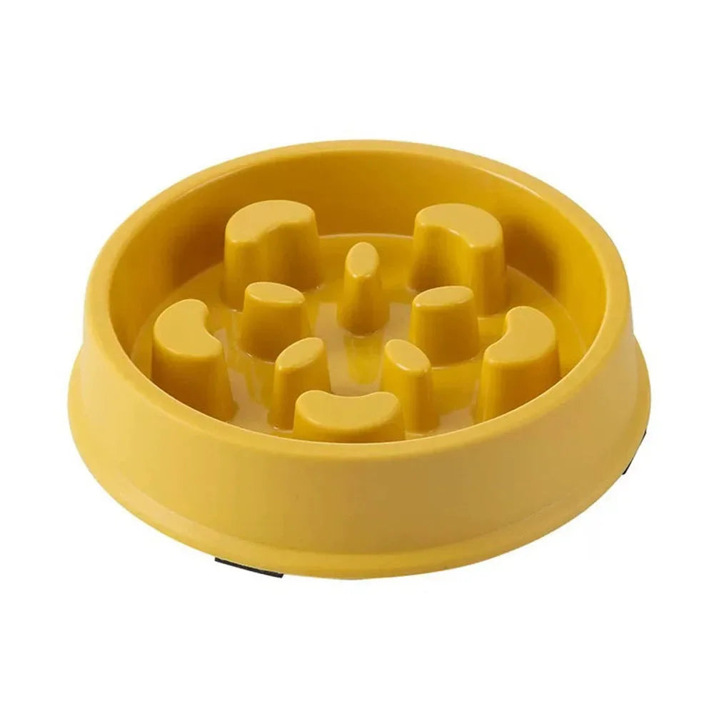 Slow Down Champ - Slow-Feeder Puzzle Bowl - lifestyle