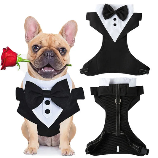 Sharp Dressed Pup - Dog Tuxedo Costume