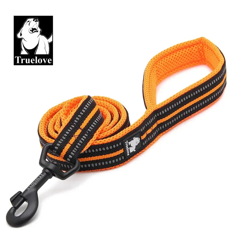 True Path - TRUELOVE Reflective Padded Leash - lifestyle