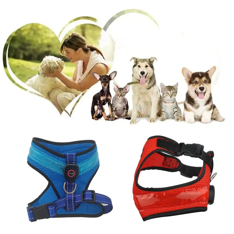 NightWalker LED Dog Harness - close-up