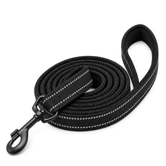 True Path - TRUELOVE Reflective Padded Leash